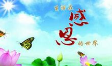 从生活中学习感恩