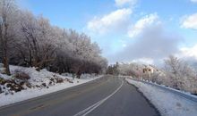 给橡树的一封信