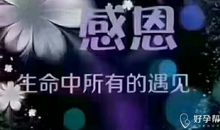 感谢我们的相遇与相识