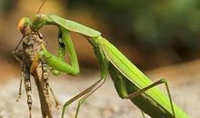 爱在绵绵细丝的衣服中