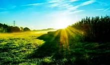 在心田种下自己