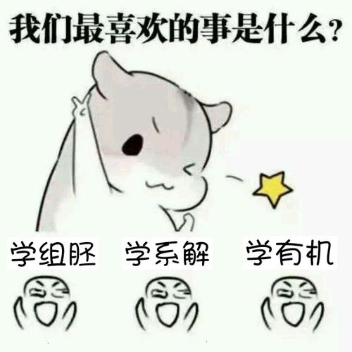 期末考试之前