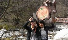 游太平森林公园