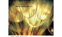 只做最好的自己