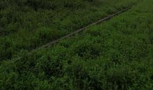 放飞理想，放飞希望