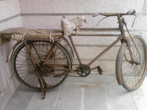 家庭亲情感动我的心