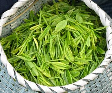 茶