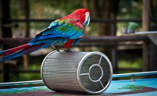 北京野生动物园