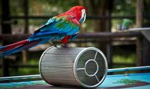 北京的野生动物园