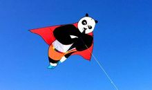 有趣的放风筝比赛