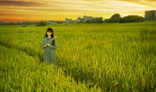 在秋天的田野里玩