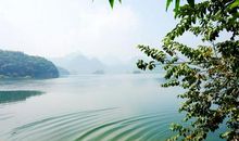 站在桥上看风景