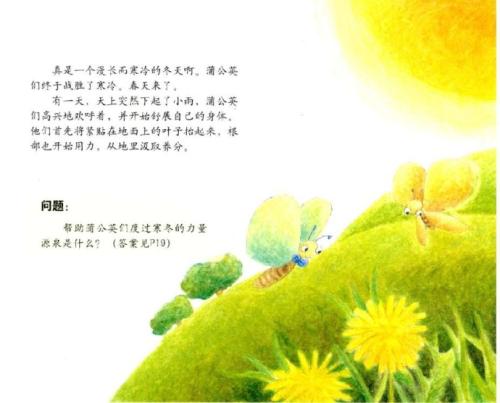 蒲公英之旅