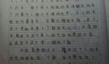 我的叔叔于勒续写_550字