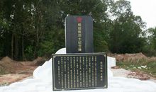 在烈士墓前的发言稿