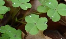 我有一个不完整的家