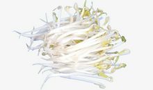 一个豆芽菜的旅行