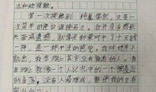 我得到了鼓励作文