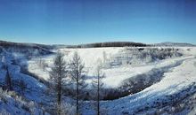 冬天的森林公园