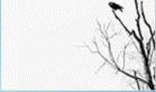 续写《天净沙秋思》_600字