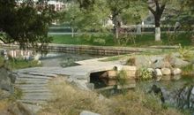 我喜欢故乡的小桥