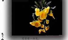 宽容若在，春暖花开