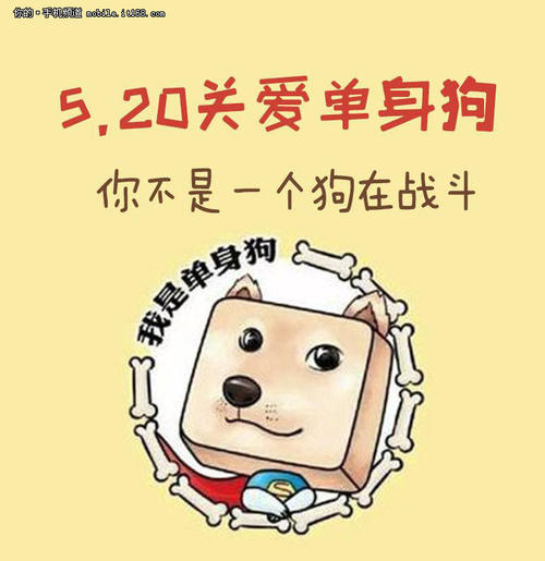 这就是我所珍惜的