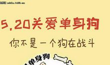 这才是我珍爱的