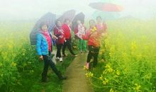 让我们与春天共飞扬