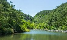 描写森林公园景色作文