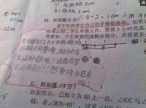 精彩的作业