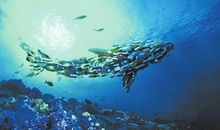 自省与宽容让世界更美好