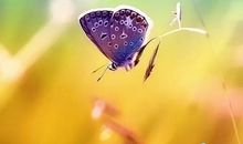 勤奋开出梦想之花