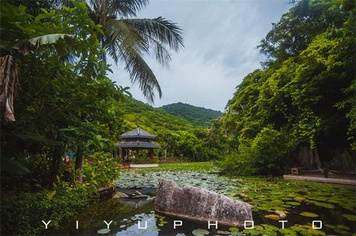 去森林公园