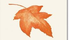 一片叶子落下来