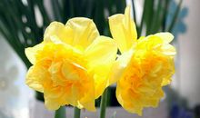 难忘那一抹亮色