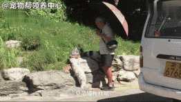 每天我被母亲感动