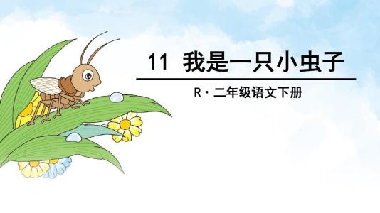 我是虫子