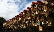 付出带来的一米阳光