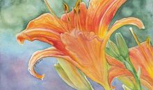 情似流年春初来