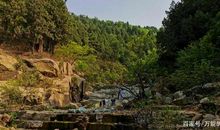 我走进了大森林