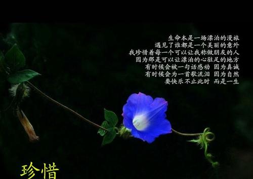 感恩之花在成长的路上绽放