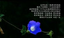 感恩之花开在成长的路上