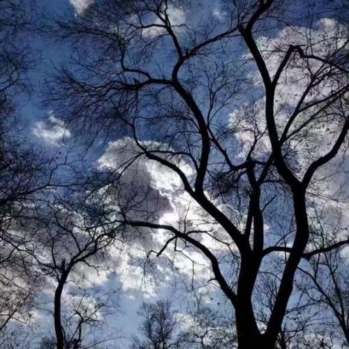 假装没看见