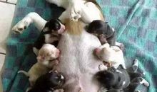 我最得意的一句话