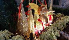 学做自己的主人