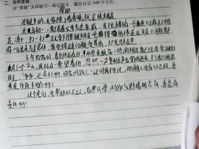 鸟儿的歌被改写成300字的叙述