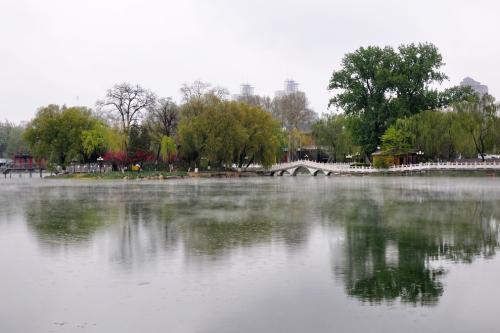 雨中公园
