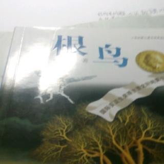 根鸟的朋友