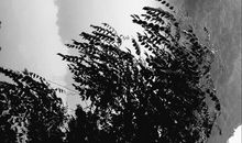 那些消失的故乡水